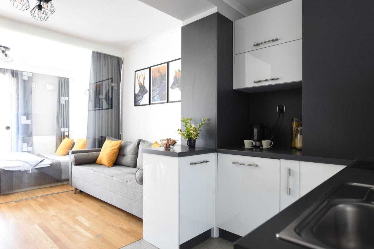 Apartament Przemily - Studio Teczowe Wzgorze Wisła Kültér fotó